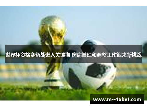 世界杯资格赛备战进入关键期 伤病管理和调整工作迎来新挑战
