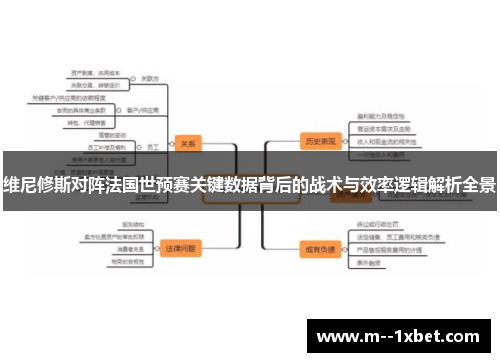 维尼修斯对阵法国世预赛关键数据背后的战术与效率逻辑解析全景