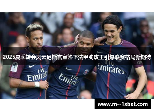 2025夏季转会风云尼斯官宣签下法甲助攻王引爆联赛格局新期待