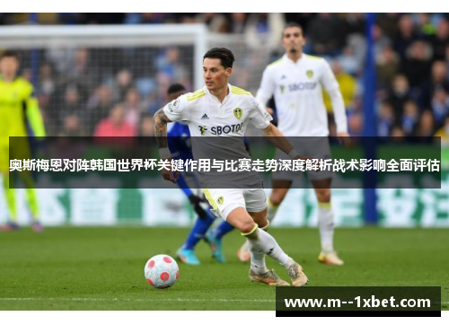 奥斯梅恩对阵韩国世界杯关键作用与比赛走势深度解析战术影响全面评估